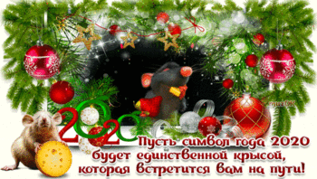 GIF-1c33518a76b46adba7718ecc314576f5.thumb.gif.d75abb5dee1c96ee0bfe2e12cae04da7.gif