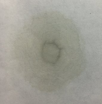 1303294989_ZICX7LS.thumb.JPG.0e3ef7695ef326e435588db823f4ce59.JPG