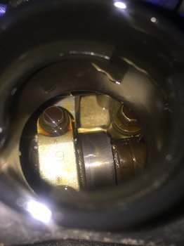 49415400-D434-4CA3-8C40-51A68AD2E789.thumb.jpeg.940bf236af03c2037d7854fdedd25949.jpeg