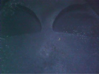 image.thumb.jpeg.14a85a673f4211cc79ca0232c18e6baf.jpeg