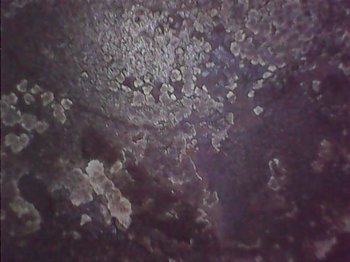 B29E865D-2055-4A05-AF0E-8EE93118F556.jpeg