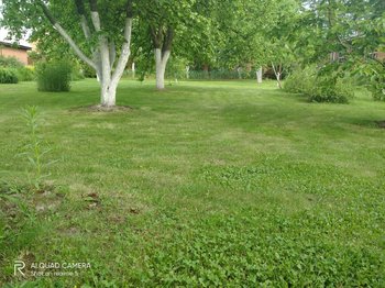 IMG20200617181826.jpg