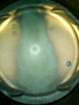 Image_2020-07-12 12_59_15_615.JPG