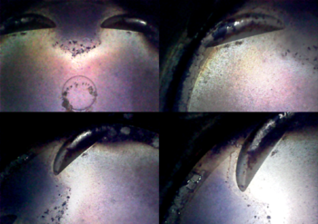 MyCollages_3.thumb.png.d358b330ec04ed4c504eebb5eb9a9066.png