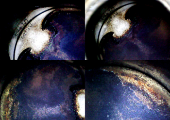 MyCollages_4.thumb.png.9f87dbe6625dbd3625bb2a42420606d3.png