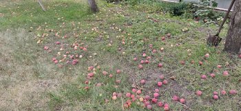 IMG20200815163940.jpg