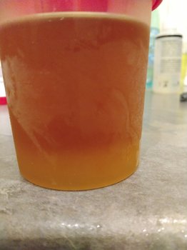 IMG_20200828_195145.jpg