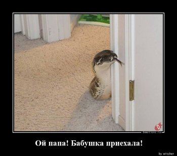 126019137_image(13).thumb.JPG.9f4be52abbe142c8b0f83eb12a7097df.JPG