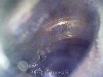 640334970_2020-09-1515-05-06.thumb.JPG.8dac04a21c3e5ad816b14c3631cbabd0.JPG