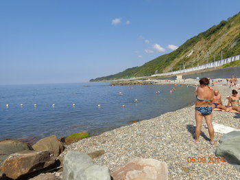DSC00737.thumb.JPG.6f6a466437dac8f842fd206558eab051.JPG