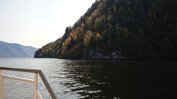 IMG_20200920_133639.jpg