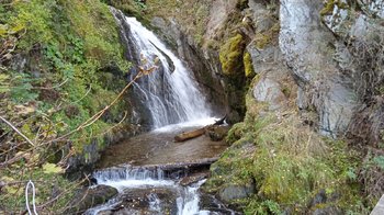 IMG_20200920_142302.jpg