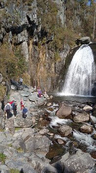 IMG_20200920_150224_1.jpg