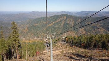 IMG_20200921_113350_1.jpg