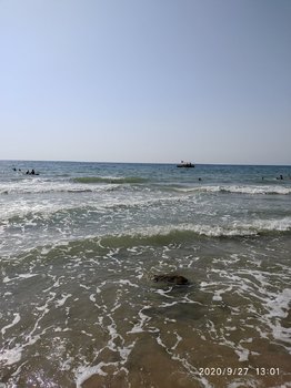 IMG_20200927_130104.jpg