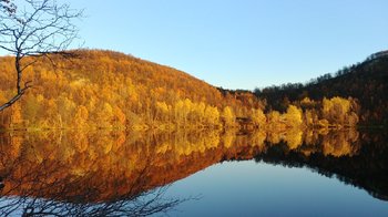 20200927_171224_HDR.jpg