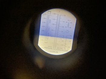 606053517_image-26-11-20-09-09-12(1).thumb.jpeg.938d293f470928ba389b872bb341140f.jpeg