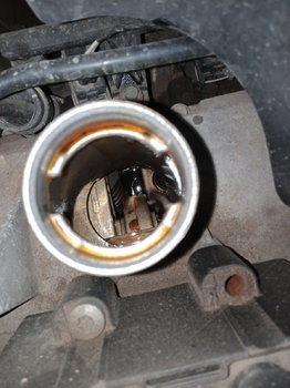 IMG20201123081148.jpg