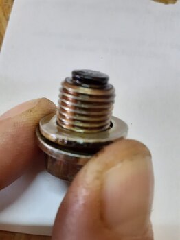 20201227_115657.jpg