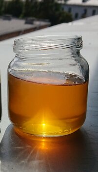 20210220_100052.thumb.jpg.8e5f436d314a450a811d1f571220a77e.jpg