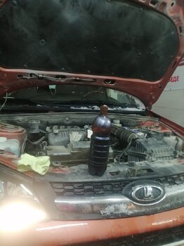 IMG_20210208_113403.jpg