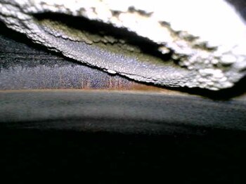 20210309_105011.jpg