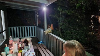 20201218_211433.jpg