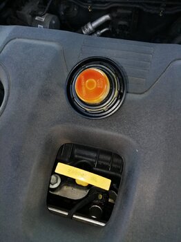 IMG_20201208_125502.jpg