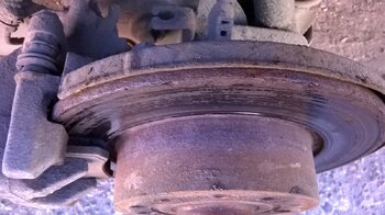 WP_20210418_12_24_59_Pro.jpg