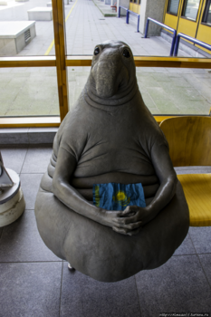 image.thumb.png.505c59e37cc03f31220092e3b7fc9436.png