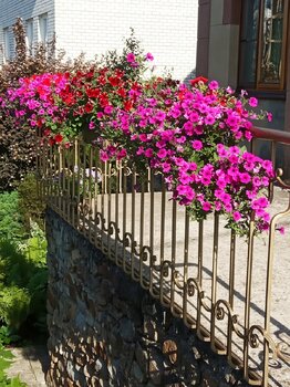 IMG_20210620_172928.jpg