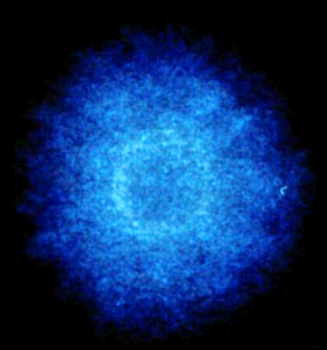 423790724_.thumb.png.719357450f5f045cd94293c6e9c90522.png