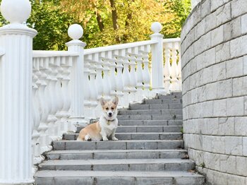 DSC_4336.JPG