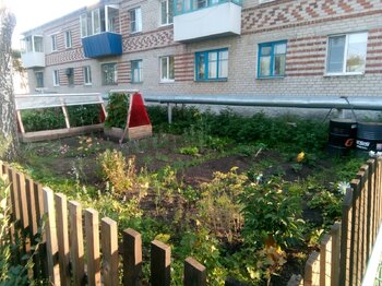 IMG_20210722_185556.jpg