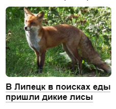 Screenshot_1.png.0e35a61cf2f851effe4116bedfbe4517.png