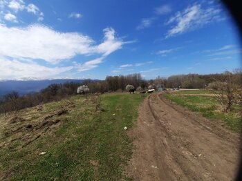 20210501_110915.jpg
