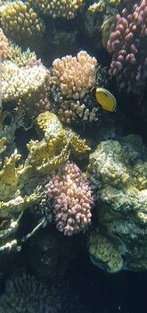 IMG-20210908-WA0000.jpg