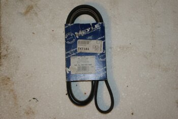 IMGP4074.JPG