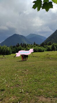 IMG_20210905_120544.jpg