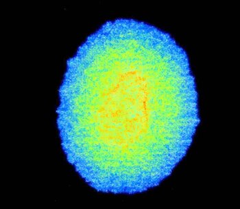 2.jpg.3aee0576af006e8cb89d7cd60fc0b81d.jpg