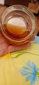 IMG_20210817_125153.jpg
