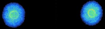 949790173_.thumb.jpg.015b5308a81b7091c1827e0e185efa3f.jpg