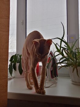 IMG_20211222_131815.jpg