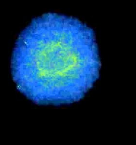 1670878925_.jpg.aa8a532632a91df620b42385077579ec.jpg