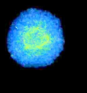 1752716836_.jpg.90dd95a040b4807f013637da532d82ae.jpg