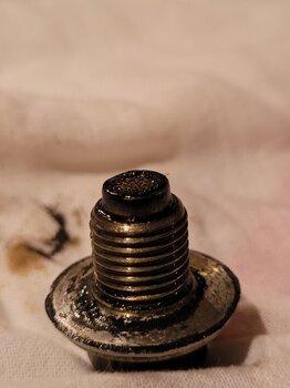 20220117_180107.thumb.jpg.711a058a445a6041a2e50873db95ae7f.jpg