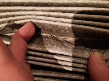20220128_192414.jpg