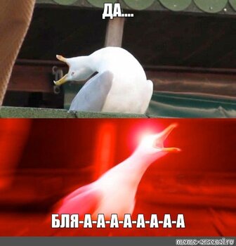 338989df77e4154f41da6a9db956649a.thumb.jpg.7c5592c346436d0b52dc456d58c109a5.jpg