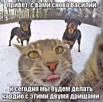 FB_IMG_1644334188678.jpg