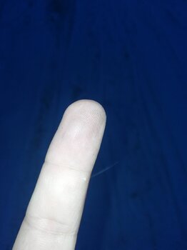 IMG_20220204_072539.jpg